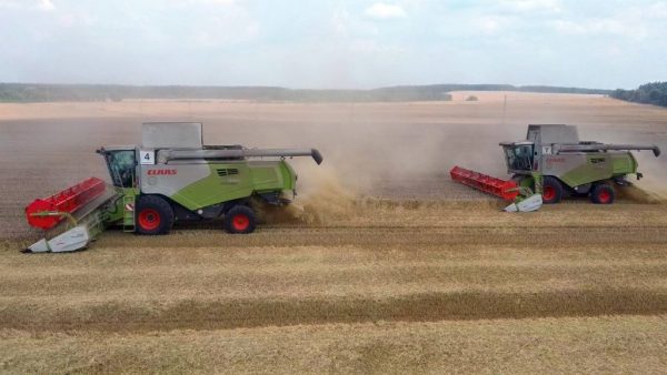 Крестьянско-фермерское хозяйство «Стародубец» убирает урожай в Клинцовском районе Брянщины