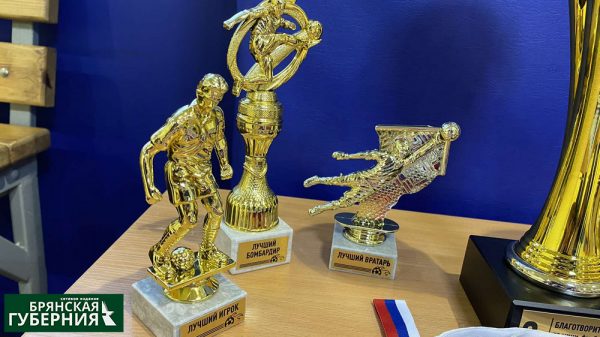 В Брянской области завершился благотворительный турнир по мини-футболу