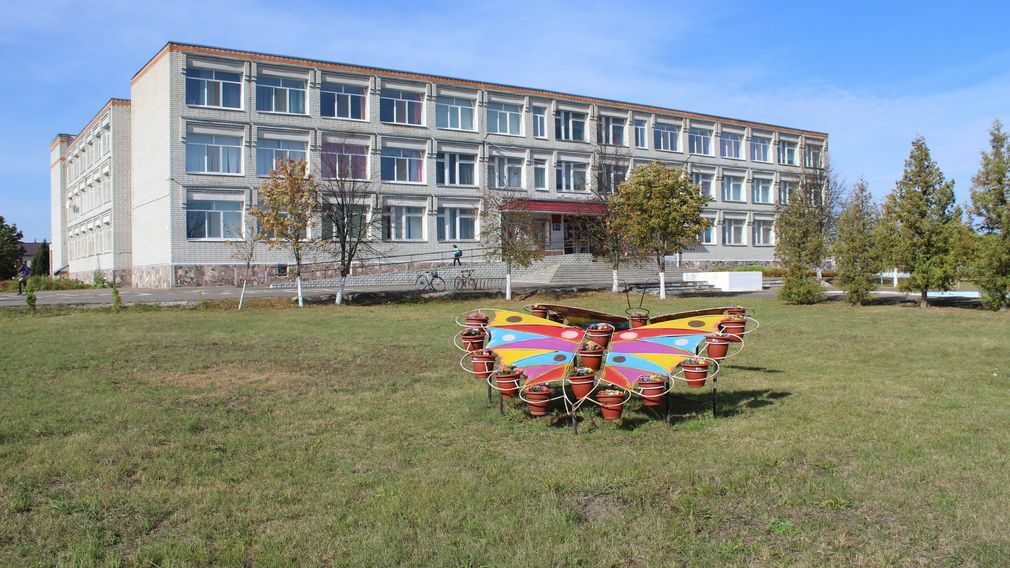 В Суземской школе №2 установят специализированную изгородь