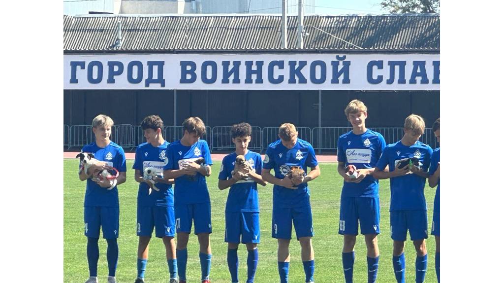 Брянские футболисты привлекли внимание к проблеме бездомных животных