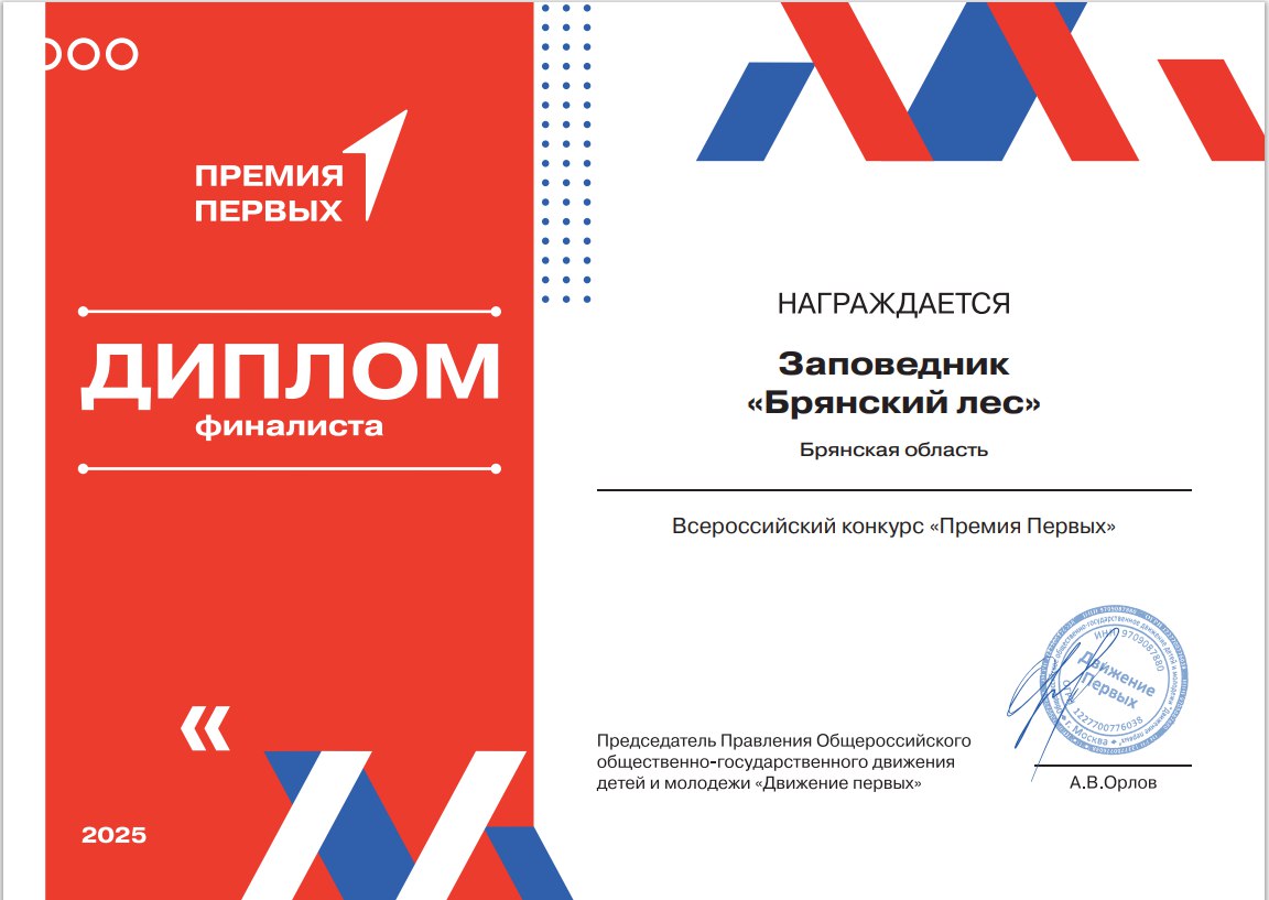 Заповедник «Брянский лес» вошел в число 100 финалистов Всероссийской Премии Первых!