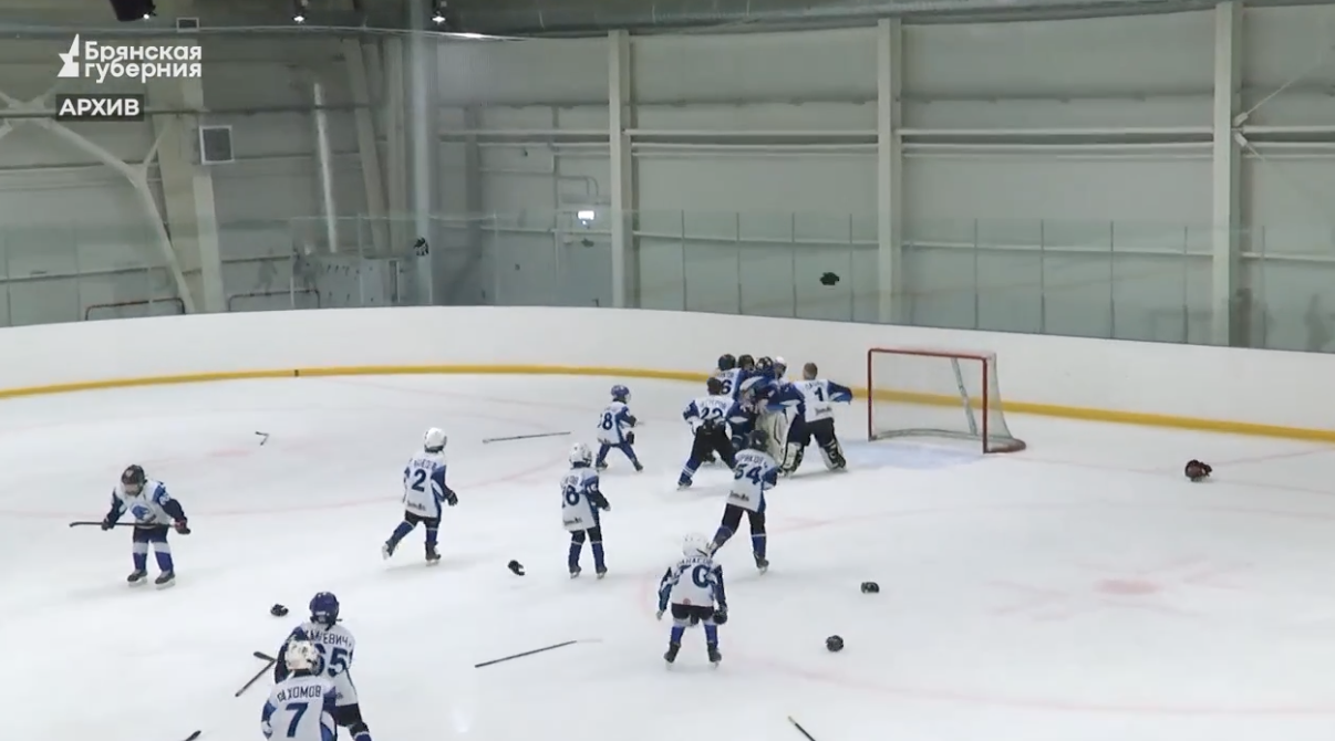 В Брянской области создают условия для доступного хоккея для всех