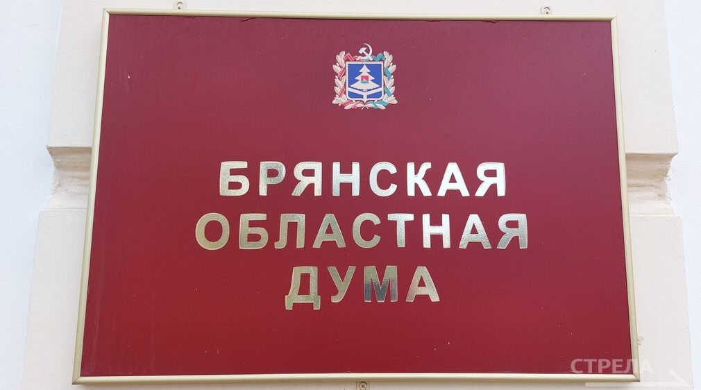 Брянские депутаты приняли решение о назначении мировых судей