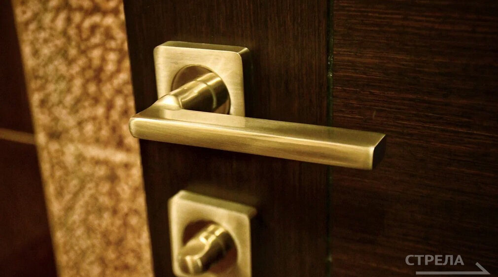 Поддержка тренеров в Брянской области выводит спорт на новый уровень  