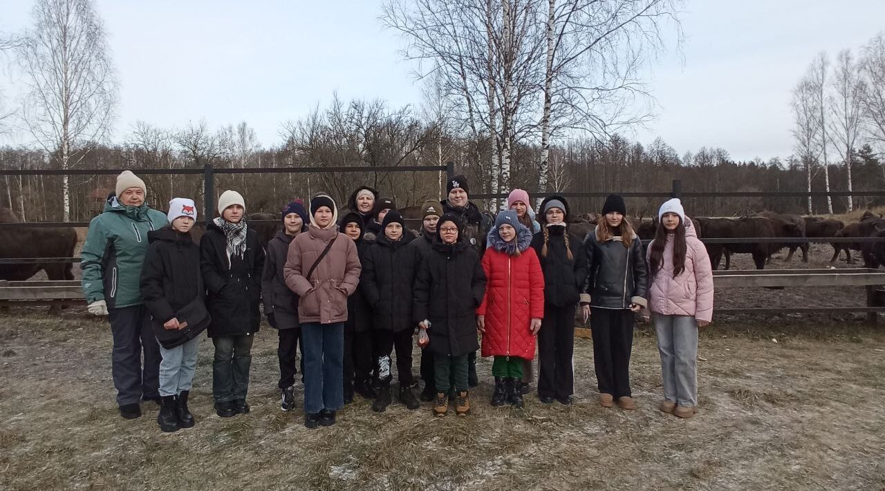 В заповеднике «Брянский лес» начались экскурсии к зубрам