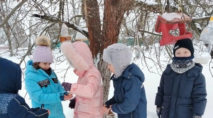 Кокоревские школьники присоединились к акции «Покормите птиц зимой!»