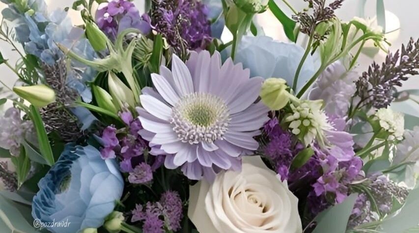 Двое жителей Суземского района получили поздравления от Президента Путина