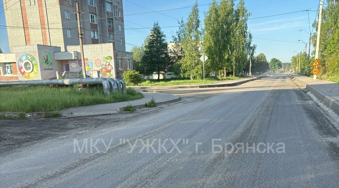 В Бежицком районе Брянска ремонтируют дорогу к пляжу Орлик 