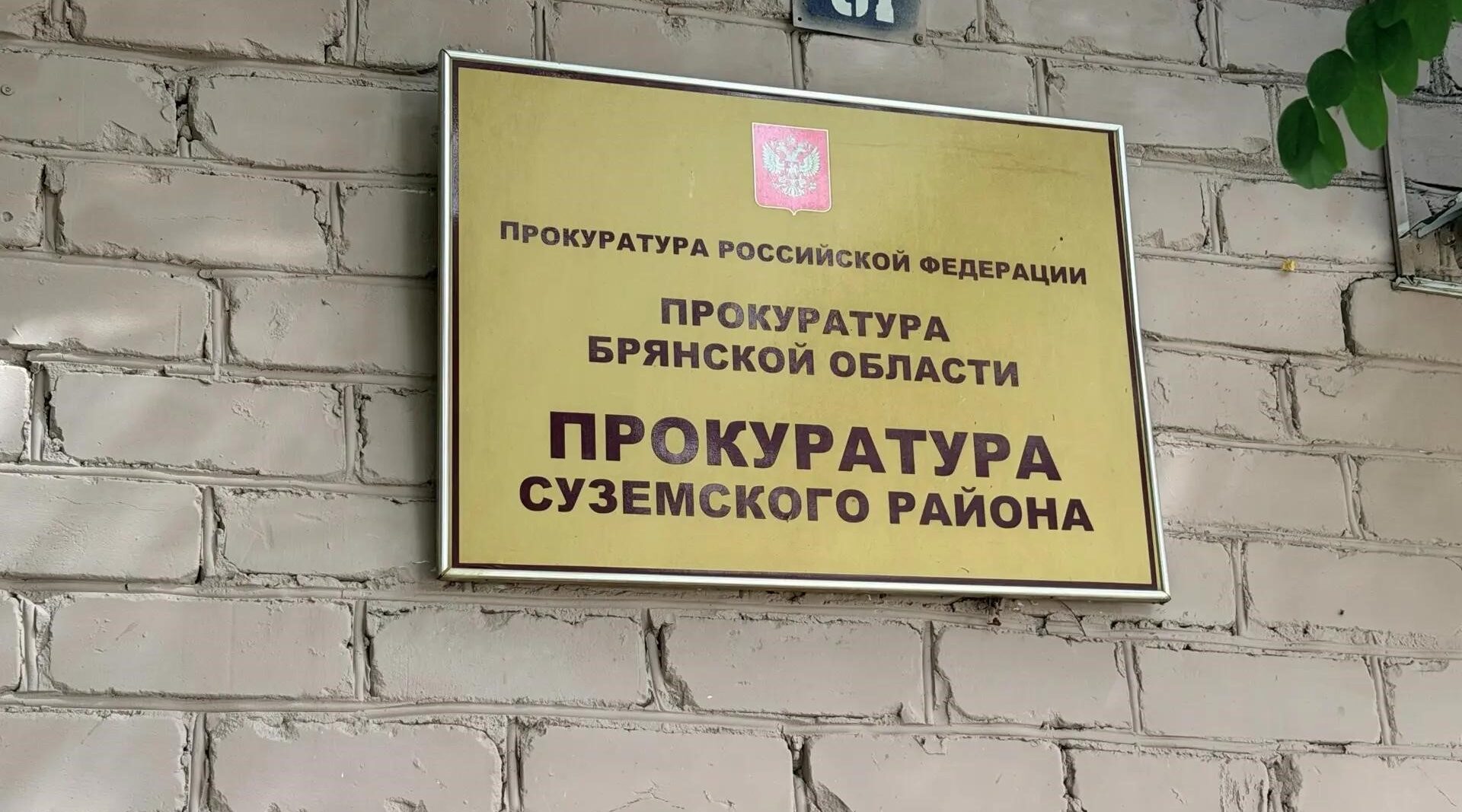 В Жуковке осудили курьера телефонных мошенников, похитившего денежные средства у пенсионерки