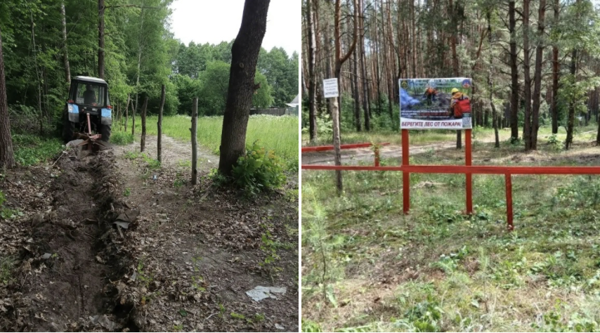 Брянские леса защитили от огня минерализованными полосами на 154 километра