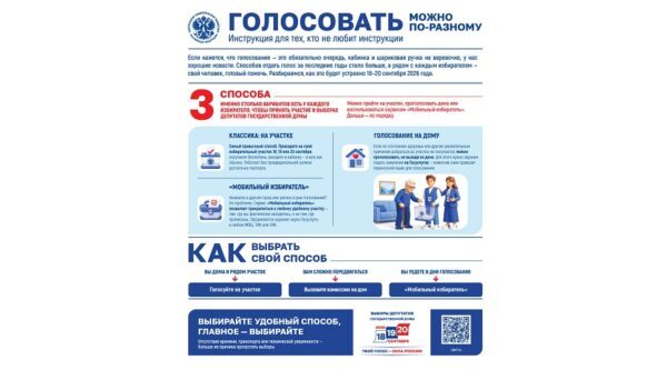 Брянцы могут голосовать по-разному