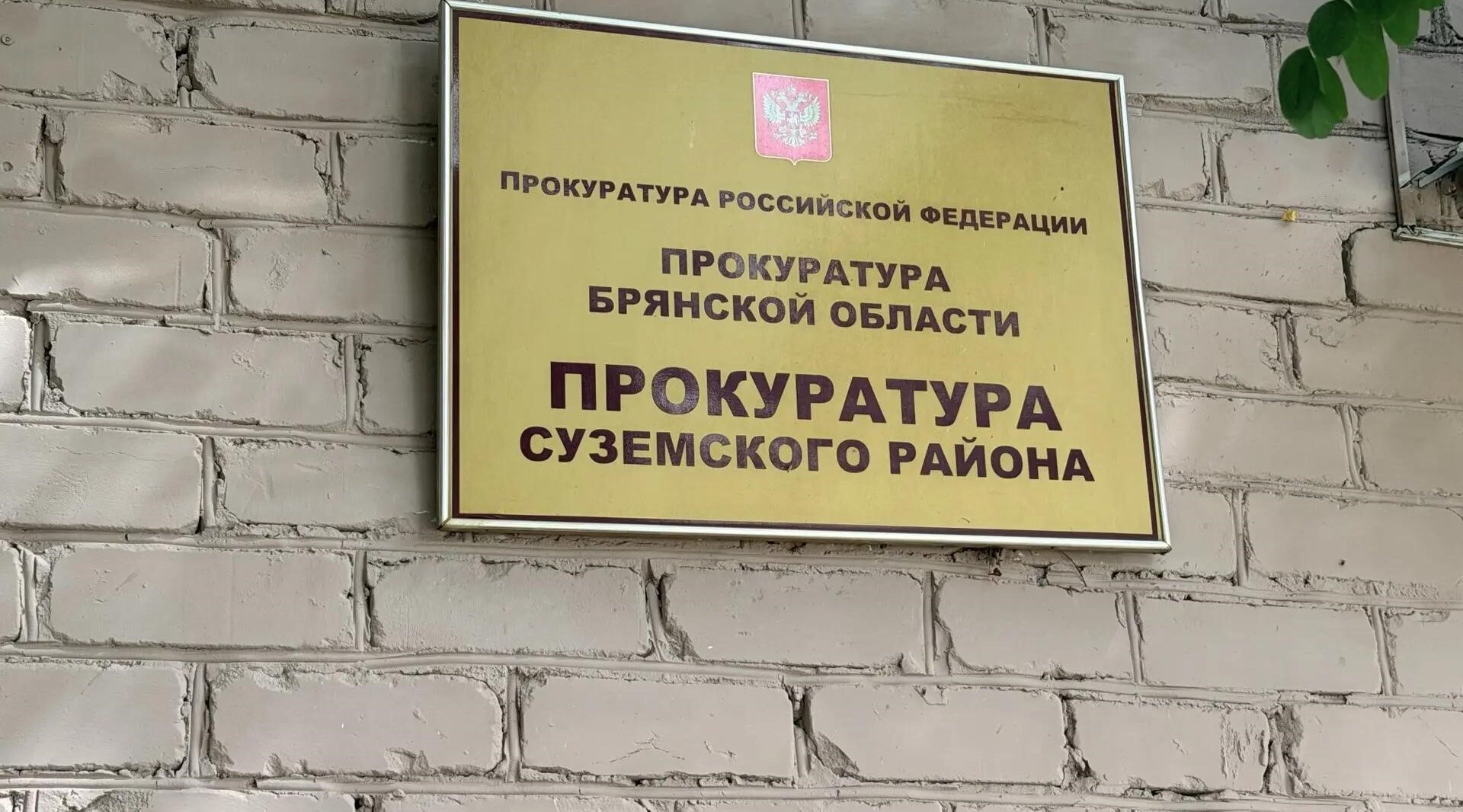 Установлены особенности регулирования труда работников, проходящих стажировку в сфере труда