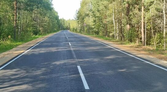 По нацпроекту в Рогнединском районе привели в порядок 10 километров трассы